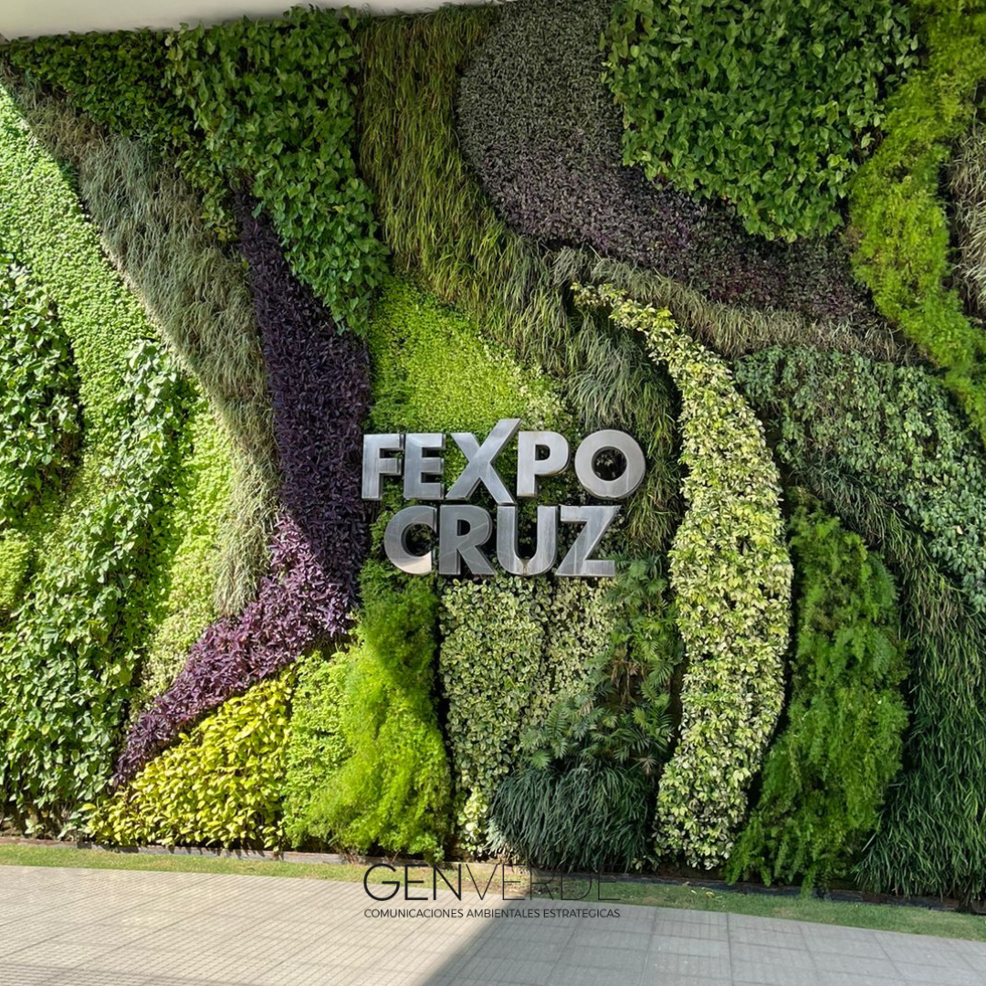 gen verde en bolivia