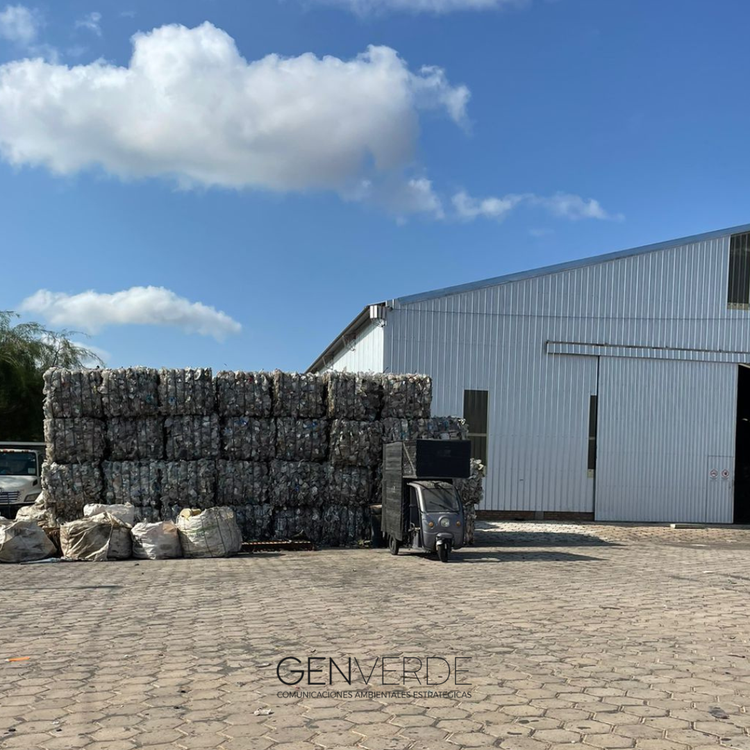 gen verde en paraguay